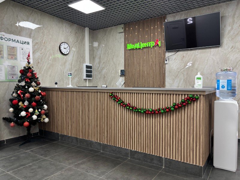 Просторная зона ресепшн с мягкой подсветкой, отделкой под дерево и приветливыми администраторами